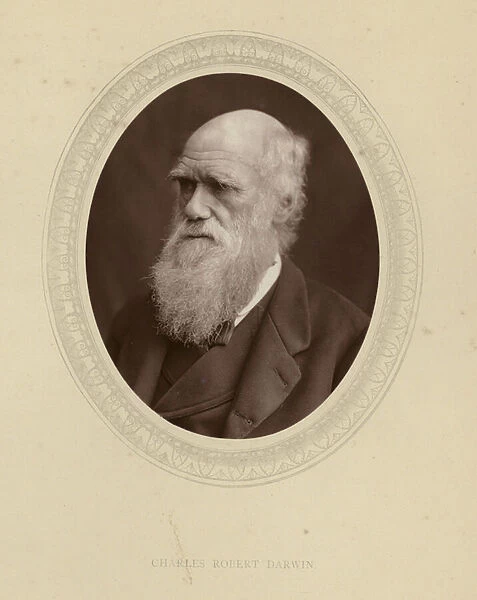 Charles Robert Darwin (b  /  w photo)