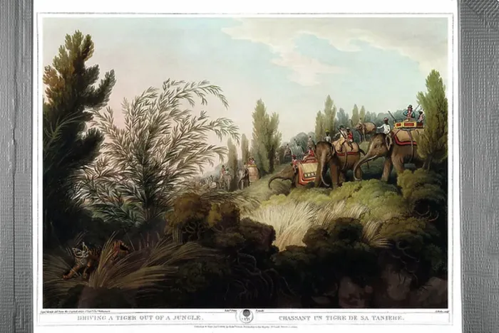 Framed Print : Chasing a tiger out of his den. Engraving by Samuel Howett (1756-1822) in Oriental field sports by Thomas Williamson (on hunts in the British Indies in the 19th century) in 1807 Framed Print : Chasing a tiger out of his den. Engraving by Samuel Howett (1756-1822) in Oriental field sports by Thomas Williamson (on hunts in the British Indies in the 19th century) in 1807