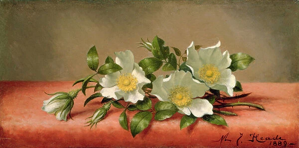 Cherokee Roses, 1889 (oil on canvas)