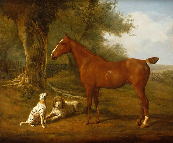 A Chestnut Hunter with a Briard and a Dalmatian (oil)