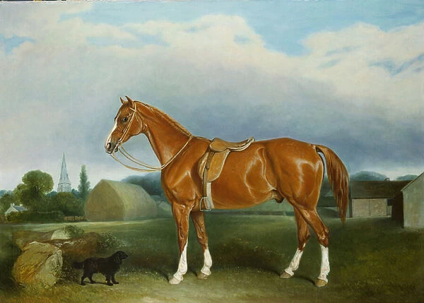 A Chestnut Hunter and a Spaniel by Farm Buildings (oil on canvas)