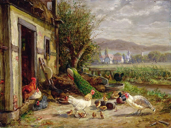 Chickens, Ducks and a Peacock by a Canal