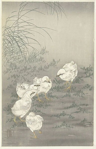 Five chicks, 1900-36 (colour woodcut)