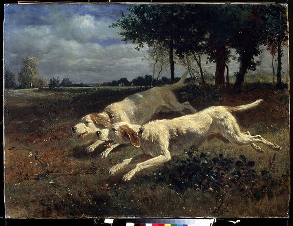 Chiens a la course (Running dogs). Peinture de Constant Troyon (1810-1865). Huile sur toile, 75 x 11 cm, 1853. Ecole francaise de Barbizon. Musee des Beaux Arts Pouchkine, Moscou