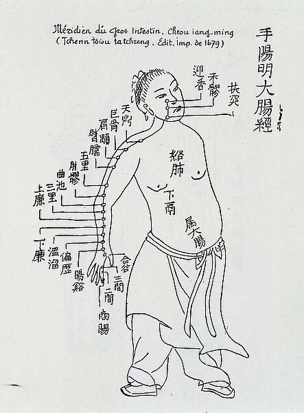 Chinese acupuncture: the large intestine, 1679