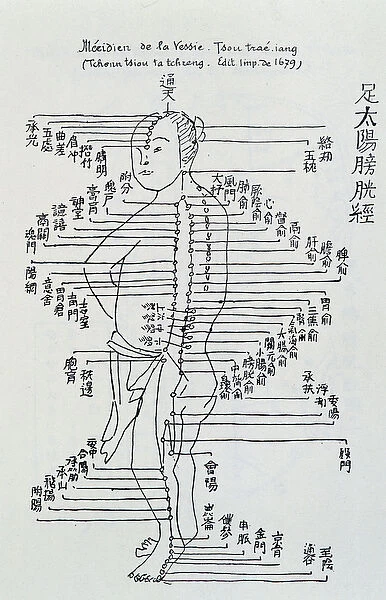 Chinese acupuncture: the meridian of the bladder, 1679