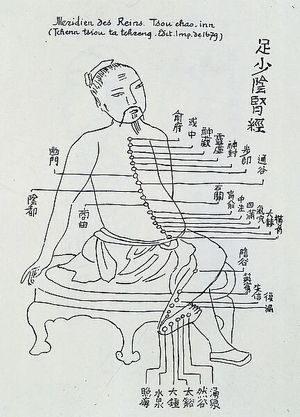 Chinese acupuncture: the meridian of the kidneys, 1679