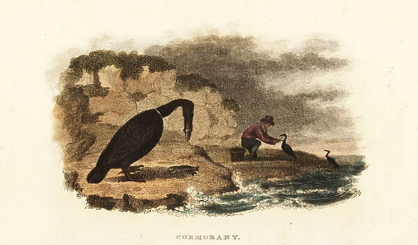 Chinese man cormorant fishing on the banks of a lake, 18th century