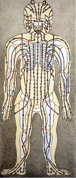 Chinese medicine. The currents of the body where to apply acupunture. 19th century