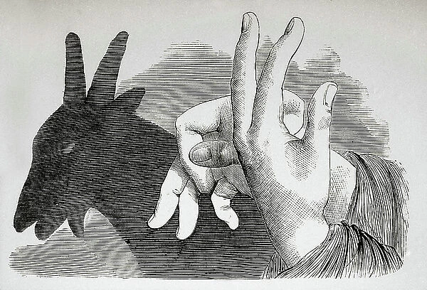 Show of Chinese shadows made with hands. Goat figure. English engraving from the 19th century