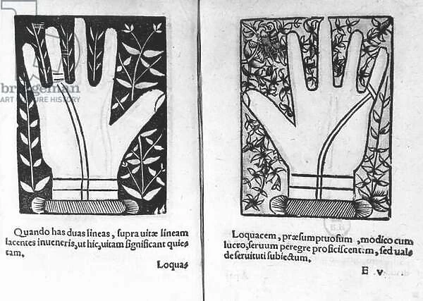 Chiromantic Hands, illustration from Chiromatiae Principiis
