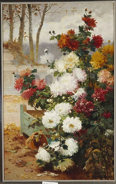 Chrysanthemums in a Walled Garden (oil on canvas)