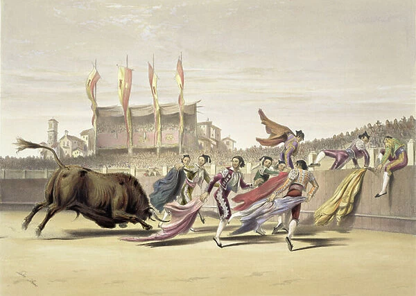 Chulos Playing the Bull, 1865 (colour litho)