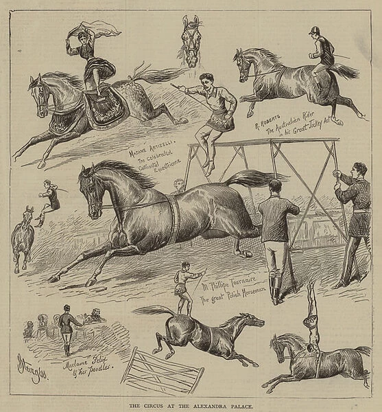 The Circus at the Alexandra Palace (engraving)