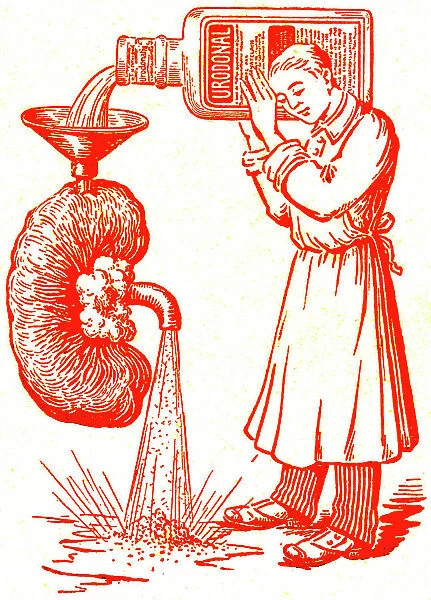Claimed for the drug Urodonal to clean the kidney, around 1917 (illustration)