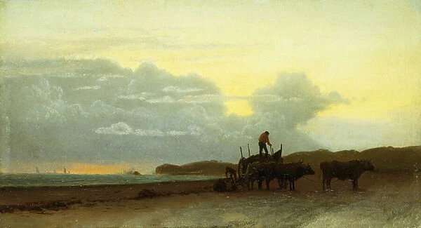 Coastal View, Newport, 1861 (oil on board)