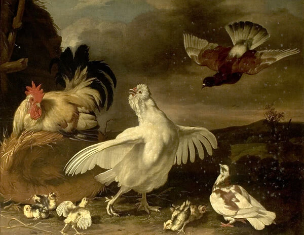Cock and Hen with Chickens and Pigeons (oil on canvas)