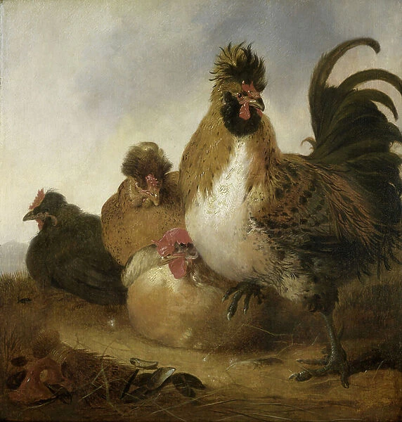 A Cock and Hens (oil on panel)