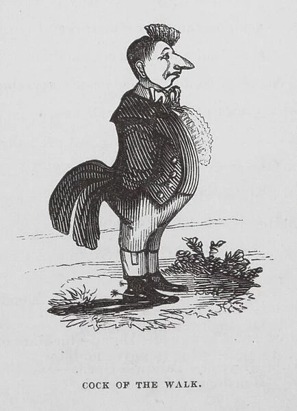 Cock of the Walk (engraving)