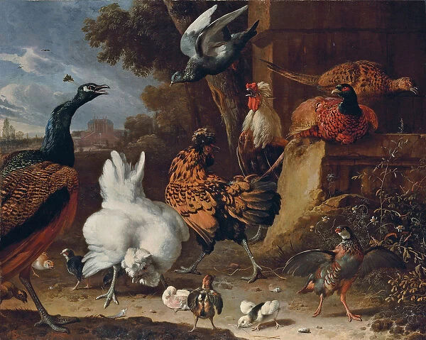 A cockerel, hens, chicks, a partridge, pheasants, a peacock