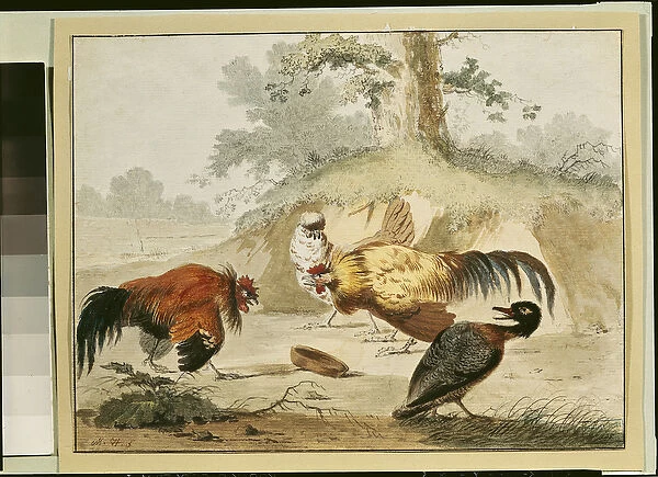 Cocks Fighting (w  /  c on paper)