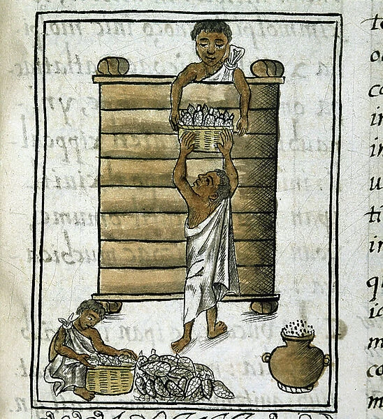 Codex of the conquest of Mexico: Corn Harvest, 1569-1575 (miniature)