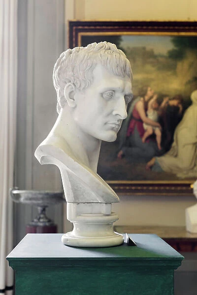 Colossal head of Napoleon, (painting)