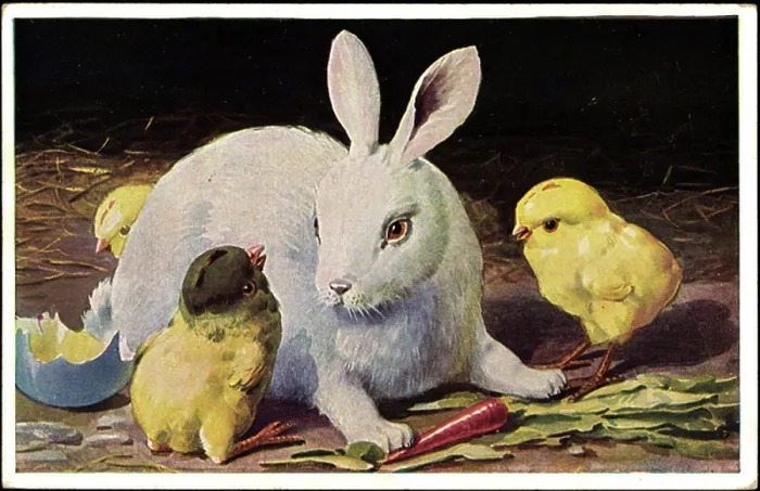 Framed Print : Congratulations Easter, Easter Bunny with Chick