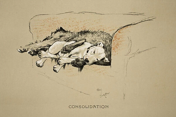 Consolation, 1930, 1st Edition of Sleeping Partners, Aldin