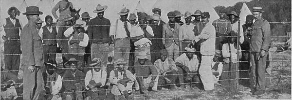 A Contact Camp near Cape Town, illustration from The King, May 25th 1901 (b  /  w photo)