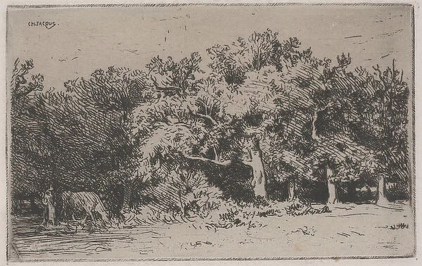 A Corner of the Forest of Fontainebleau (etching)