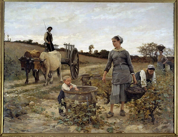 Corner of vine in Languedoc Painting by Edouard Debat Ponsan (1847-1913) 1886 Sun