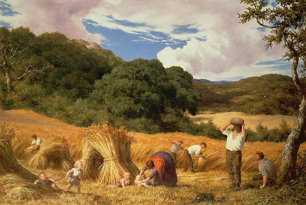 Cornfield in Surrey, 1860