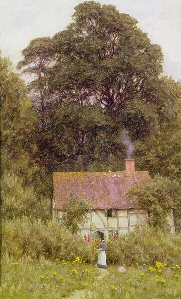 Cottage near Brook, Witley, Surrey