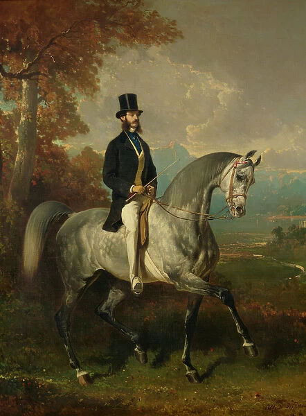 Count Alfred de Montgomery (1810-91) 1850-60 (oil on canvas)