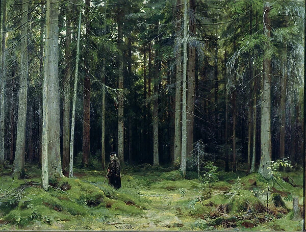 Countess Mordvinovs Forest, 1891 (oil on canvas)