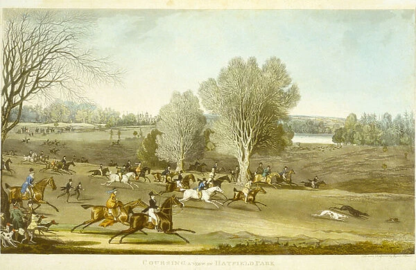 Coursing - A View of Hatfield Park, engraved by James Pollard (1797-1867) (colour litho