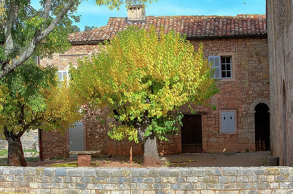 Courtyard and trees of the Thoronet Abbey