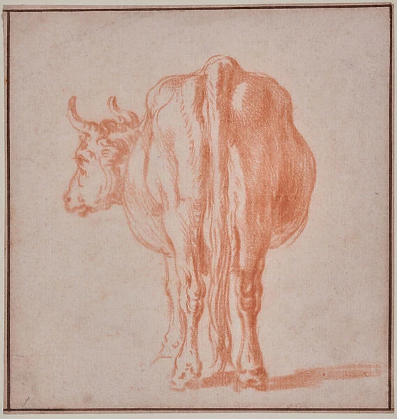 Cow (animal study), 1625-54 (Chalk)