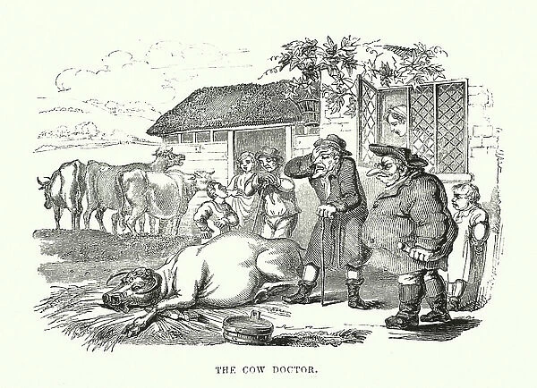 The cow doctor (engraving)