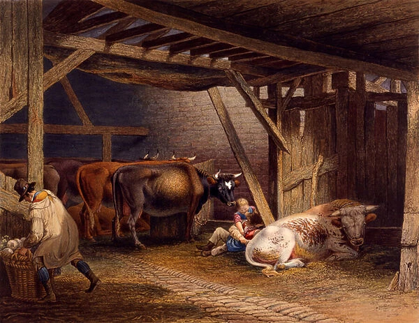 Cow shed (hand-coloured aquatint)