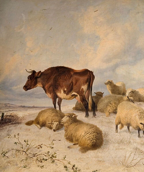 Cows and Sheep in Snowscape, 1864 (oil on canvas)