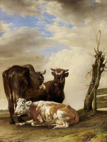 Two Cows and a Young Bull beside a Fence in a Meadow, 1647 (oil on panel)