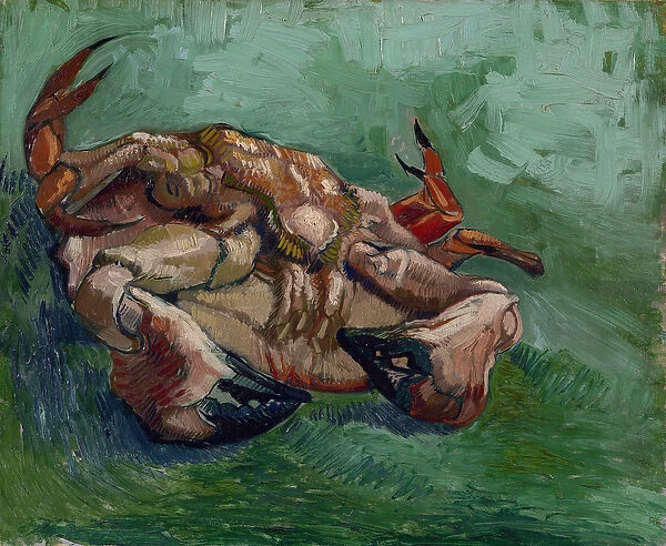A Crab on its Back par Gogh, Vincent, van (1853-1890). Oil on canvas, size : 38x46, 8