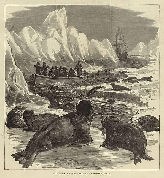 The crew of the Pandora shooting seals (engraving)