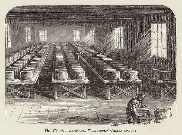 Curing-house, Whitesboro' Cheese factory (engraving)