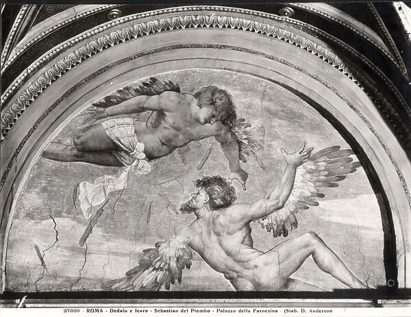 Daedalus and Icarus, from the cycle of Ovids Metamorphoses, c. 1511 (fresco) (b  /  w photo)