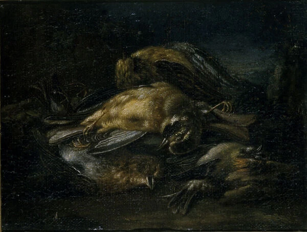 Dead Bird, 1664 (oil on canvas)