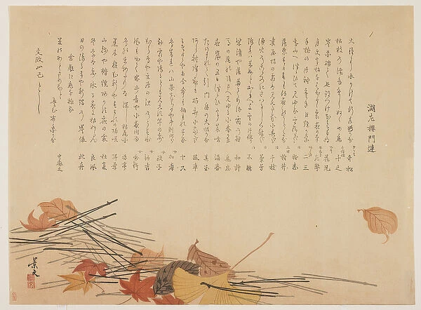 (Dead leaves and pine needles), 1821