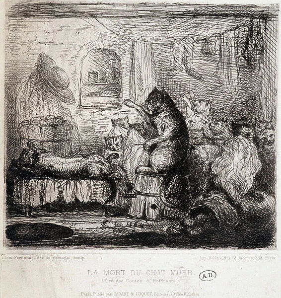 The Death of the Cat Murr (from Hoffmanns tales) - Drawing, Portugal, 19th century